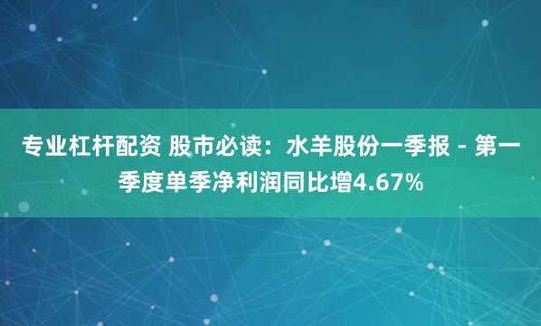专业杠杆配资 股市必读：水羊股份一季报 - 第一季度单季净利润同比增4.67%