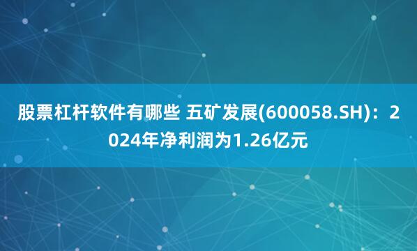股票杠杆软件有哪些 五矿发展(600058.SH)：2024年净利润为1.26亿元