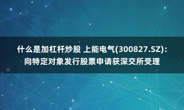 什么是加杠杆炒股 上能电气(300827.SZ)：向特定对象发行股票申请获深交所受理