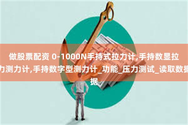 做股票配资 0-1000N手持式拉力计,手持数显拉力测力计,手持数字型测力计_功能_压力测试_读取数据