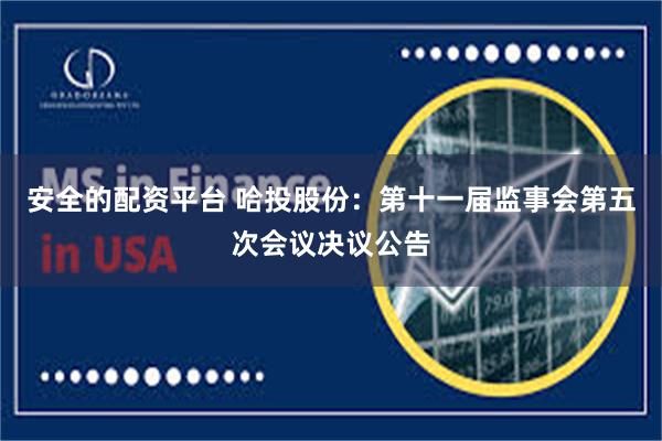 安全的配资平台 哈投股份：第十一届监事会第五次会议决议公告