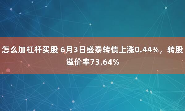 怎么加杠杆买股 6月3日盛泰转债上涨0.44%，转股溢价率73.64%