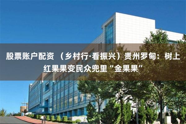 股票账户配资 （乡村行·看振兴）贵州罗甸：树上红果果变民众兜里“金果果”