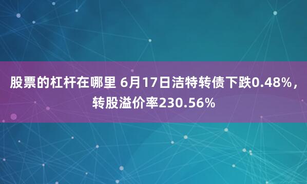 股票的杠杆在哪里 6月17日洁特转债下跌0.48%，转股溢价率230.56%