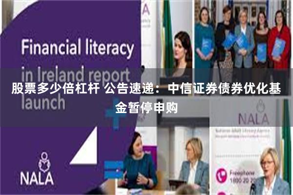 股票多少倍杠杆 公告速递：中信证券债券优化基金暂停申购