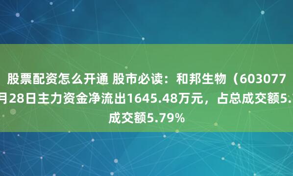 股票配资怎么开通 股市必读：和邦生物（603077）7月28日主力资金净流出1645.48万元，占总成交额5.79%